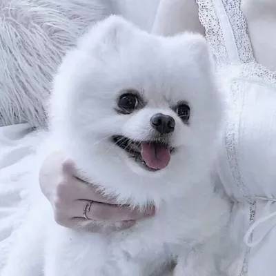 多宝娱乐体育app综合体育APP下载 多宝娱乐体育app综合体育APP下载