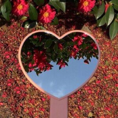 八方体育app官方