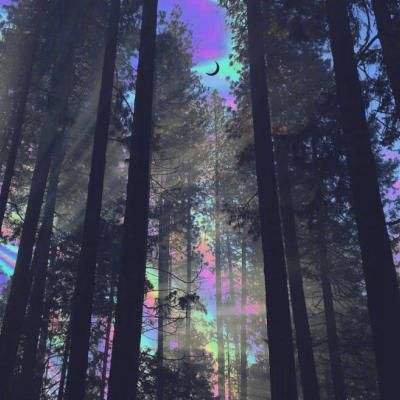 中国居民金融素养报告:金融素养稳步提升 AI赋能投教效果初显