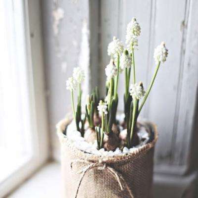 新宝2会员登录网址 新宝2会员登录网址