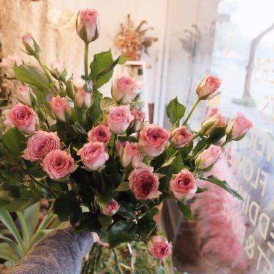 九州彩讯官网网址