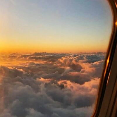 崔永元吸猫甘做“铲屎官” 如此回应“炮轰范冰冰”…