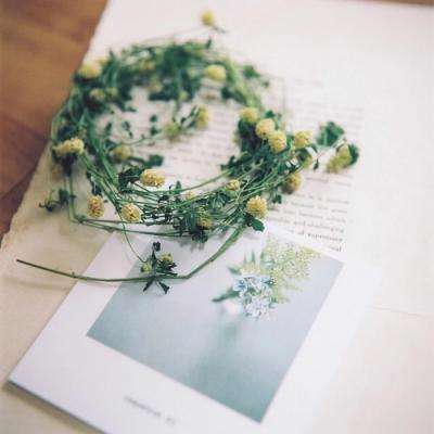 “落难”疫苗明星打折定增,沃森生物能否逆风翻盘?