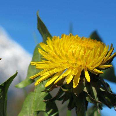 魏德米勒 | 两会定调,储能正在...