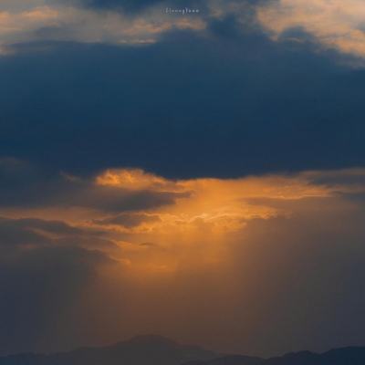 乐鱼体育网页在线直播