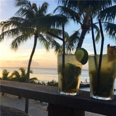 科创创业人工智能ETF工银(588430)跌2.65%,成交额1618.74万元