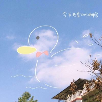 巴登体育app娱乐手机版