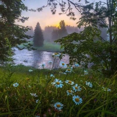 合盛硅业股份有限公司关于召开2026年第一次临时股东会的通知