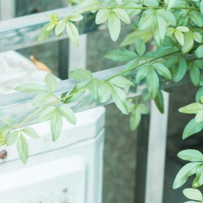 亚洲久久久久98官方网站手机APP下载安装相关推荐1