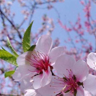 能源价格冲击显现 法国央行下调增长预期并上调通胀预估